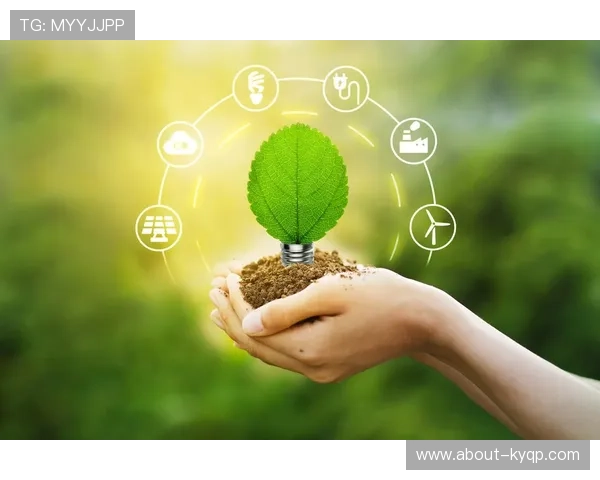 花旗国际在绿色金融领域的布局与可持续发展实践