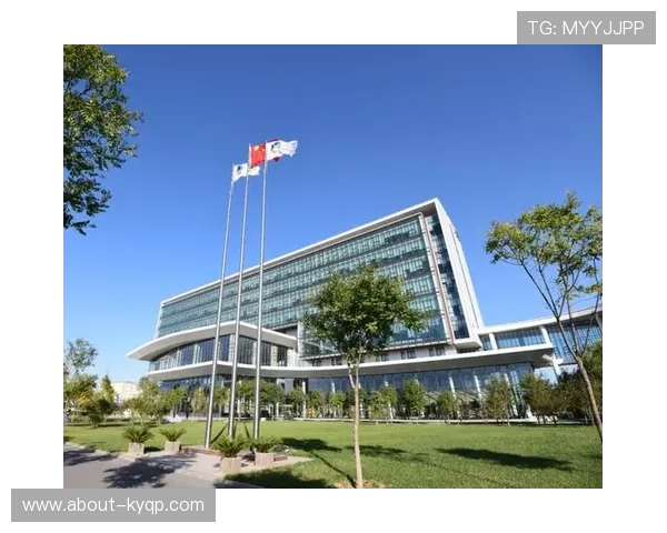 鼎龙国际：专注于高端产业链布局推动企业全球竞争力不断提升